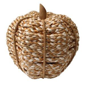 New Pumpkin Wicker Woven Rope Beige Fall Autumn Thanksgiving Halloween Decor